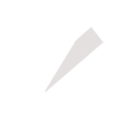 河源临时保镖服务